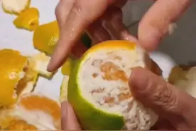 好消息:吃橘子从未发现过虫子
坏消息:吃橘子从未发现过虫子#好吃到停不下来 #抽象