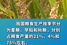 农业科普：夏粮包括哪些？ #夏粮#农业知识分享