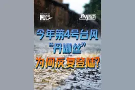 今年第4号台风“丹娜丝”在浙江登陆。#台风丹娜丝为何反复登陆  影响范围有多大？来听听气象专家怎么说。#新华访谈