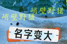 NPC名字变大，远距离一目了然！ #魔兽世界 #魔兽世界怀旧服 #魔兽世界专家模式