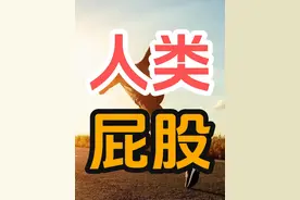 人类的屁股为什么是左右两瓣的？ #科普 #进化论
