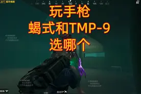 #和平精英 #地铁逃生 玩手枪的话，TMP-9和蝎式，你们怎么选视频封面