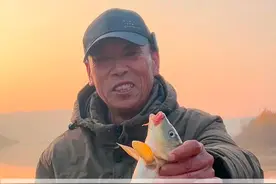 这才是黄河鲤鱼 #原来钓鱼才是抖音运动顶流 #钓鱼的乐趣只有钓鱼人懂 #钓鱼人就是这么疯狂