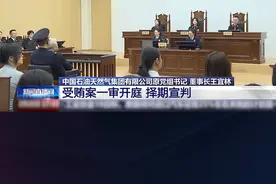 中国石油天然气集团有限公司原党组书记、董事长王宜林受贿案一审开庭视频封面