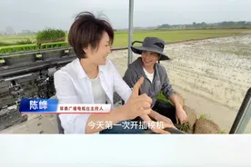 港中坪村种粮大户戴宏：总书记，您看，一个月不见，我们村的插秧机开始忙活了！#春天的回响视频封面