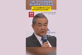 王毅：任尔东西南北风 我自泰然处之  岿然不动  （央视国际资讯）视频封面