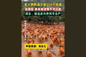 近日，安徽蚌埠。老人网购误下单550只鸡崽，到货后商家称活物不可以退。网友：放幼儿园门口卖卖看呢...#社会百态 #网购 #老人视频封面