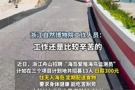 舟山无人岛招聘“守岛人”，日薪300元，有Wi-Fi，工作人员回应：“需待满两个月，能守得住寂寞”视频封面
