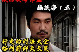 陕西头号悍匪-魏振海(五) 行走的刑法大全,临刑前仰天长笑视频封面