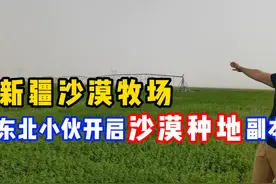 东北小伙勇闯塔克拉玛干沙漠，直接将沙丘变草原！种植牧草之王视频封面