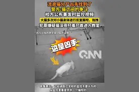 流浪猫分尸凶手找到了
警方:猫之间的争斗
校方公布事发时监控视频
大猫多次对小猫身体进行反复撕咬、拖拽
犯罪嫌疑猫深夜叼着尸首进入教室#流浪猫分尸 #意思虐猫 #辟谣视频封面