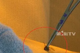被蜜蜂“蛰”了竟能治病？#中医疗法蜂疗用蜜蜂做针灸 ，具有抗炎、镇痛、免疫调节、促进血液循环等作用。医生提醒：蜂针治疗需要专业医师通过辨证选择穴位，大家切勿自行尝试！