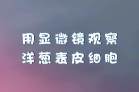 用显微镜观察洋葱表皮细胞 教科版6年级上册科学教材同步实验内容视频封面