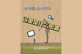 一个视频告诉您，身体不同位置究竟藏着什么器官 这个视频让您更好地了解自己，不单单是外表，更是了解自己的内在。#医学科普知识