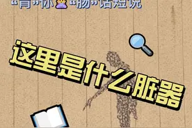 一个视频告诉您，身体不同位置究竟藏着什么器官 这个视频让您更好地了解自己，不单单是外表，更是了解自己的内在。#医学科普知识视频封面