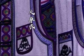 用野草制作衣服你见国么#火草衣 #把非遗穿在身上