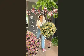 绿植养护0元购？ 我老婆是真的扣，那些网红绿植都让她找到了平替，玛格丽特菊=茼蒿，幸福树=花生山乌龟=红薯彩叶芋=龙眼核多肉=火龙果籽富贵竹=生姜水培，养好还能驱蚊，真有你的！#抖音家速计划  #抖音好家大赏  #宝藏生活家企划  #绿植 #养花 @DOU+小助手 @DOU+上热门 @抖音美好家