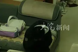 男孩发现妈妈又外出打工了掩面伤心 妈妈在监控上看到后又坐车折返回了家 这次回来再也不走了 “ 钱不钱无所谓了 陪伴孩子最重要”视频封面