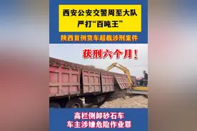 获刑6个月！全省首例货车“百吨王”入刑案件宣判！ （来源 周至大队/剪辑 侯敏楠）#文明交通携手共创 #百吨王视频封面
