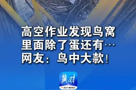 长时间没用的塔吊上惊现鸟窝，男子发现里面有一颗鸟蛋和一些钱“鸟窝跟鸟蛋不会破坏，钱就拿走了”网友：这鸟的“存款”还挺多（感谢@富的刘油 分享） #万万没想到 #鸟窝