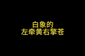白象的左牵黄右擎苍#地球村 #搞笑 #脑洞大开 #看一遍笑一遍视频封面