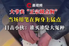 大爷卖“正宗斑点狗”，当场用笔在狗身上猛点，目击小伙：谁买谁是大冤种