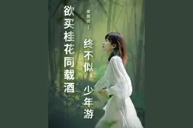 “欲买桂花同载酒，终不似，少年游。”这是你心目中的青春神句吗？#欲买桂花同载酒终不似少年游 #都靓讲诗词 #青春视频封面