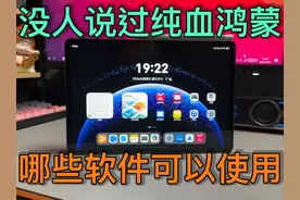 没人告诉你，纯血鸿蒙，究竟有什么软件可以用？ #华为 #鸿蒙视频封面