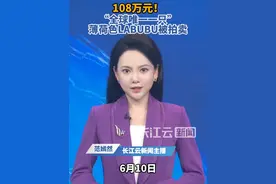 薄荷色LABUBU拍出108万天价！系“全球唯一一只”#labubu #潮玩 #潮玩手办 #泡泡玛特 #王宁视频封面