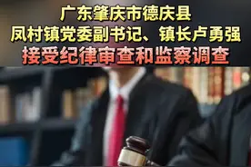 广东肇庆市德庆县凤村镇党委副书记、镇长卢勇强主动投案接受纪律审查和监察调查视频封面
