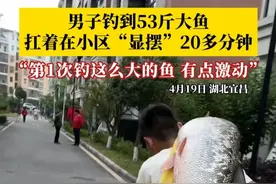 #男子钓到53斤大鱼 ，扛着在小区“显摆”20多分钟：第1次钓这么大的鱼有点激动，逛累了才上去。#钓鱼佬 #钓鱼佬的高光时刻 #好大一条鱼 #钓鱼是抖音最顶流的运动视频封面