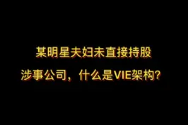 某明星夫妇未持股涉嫌组织领导传销涉案公司，什么事VIE股权架构？#抖来学法 视频封面