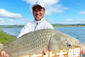 探寻东北大鲤鱼 很多人都说鲤鱼不好吃，那你一定没吃过东北冷水大鲤鱼！#原来钓鱼才是抖音运动顶流 #2024dou来钓鱼 #快来钓鱼 #我是运动高手视频封面