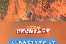 红塔区2025年森林防火计划烧除工作正式启动，请大家不信谣不传谣#森林防火 #计划烧除 #有一种叫云南的生活 #碧玉清溪象往之地 #红塔区融媒体中心视频封面