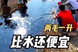 2毛钱一升的汽油，伊朗的石油为什么如此便宜? #涨知识 #汽油 #石油视频封面