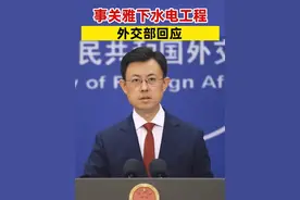 事关雅下水电工程，外交部回应