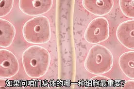 当我们生病时，免疫系统在干嘛？什么是细胞因子风暴 #知识科普视频封面