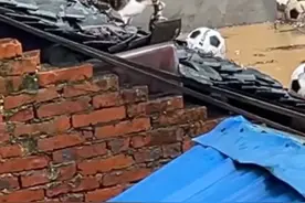 6月29日（采访时间），贵州榕江，#猫妈妈叼着小猫跳进洪水中求生 ，拍摄者：喊它喊不过来，猫进柴棚后没再出来。视频封面