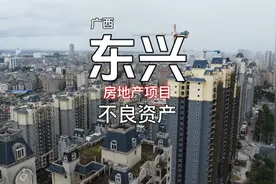 广西东兴不良资产介绍#不良资产 #债权 #物权 直面债权人视频封面
