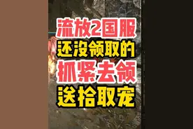 流放2国服送拾取宠物了，肯定有很多人没领的！ #流放之路2