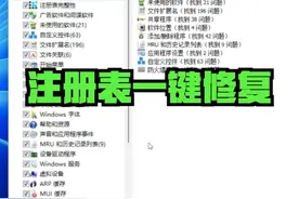 注册表一键检测/修复工具 #电脑 #电脑小技巧 #软件分享