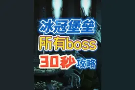 冰冠堡垒所有boss30秒攻略 简单快速有效 #魔兽世界 #网易大神
