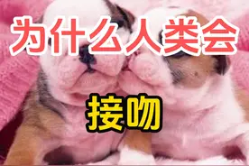 人类为什么会接吻？