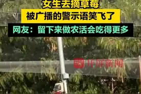 女生去摘草莓被广播的警示语笑飞了，网友：留下来做农活会吃得更多（来源：@啊泰远 ）视频封面