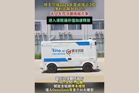 顺丰同城2024年营收增近3成，净利润飙升162%，无人车月活路线超千条，进入港股通价值加速释放 #顺丰同城  #顺丰同城财报  #财报视频封面