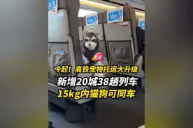 最新通知！高铁宠物托运试点今起扩大！15kg内猫狗可随主同行，覆盖25城38趟车次！#宠物友好出行 #高铁新服务视频封面