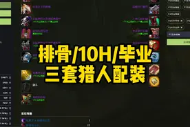 生存猎奥杜尔从排骨到毕业三套配装 #魔兽世界怀旧服 #生存猎配装视频封面