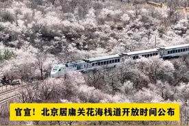 官宣！北京居庸关花海栈道开放时间公布视频封面
