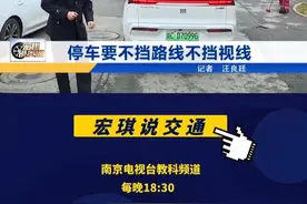停车要不挡路线不挡视线 #宏琪说交通 #交通安全 #停车 #遮挡视线视频封面