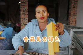 香菇其实是比较绿色的食品。 香菇从生长到烘干过程根本就用不到农药，化肥，添加剂。对于喜欢吃香菇的朋友只有一个建议，不要买到陈货香菇，就可以避免买到熏硫磺和使用杀虫药的香菇。#我的乡村生活 #乡村守护人 #新农人计划 #外国人在中国 #非洲媳妇汉娜